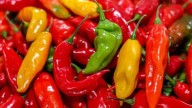 Día de los Ajíes Peruanos: más de 350 variedades que, con color y sabor, llegan a 32 mercados internacionales