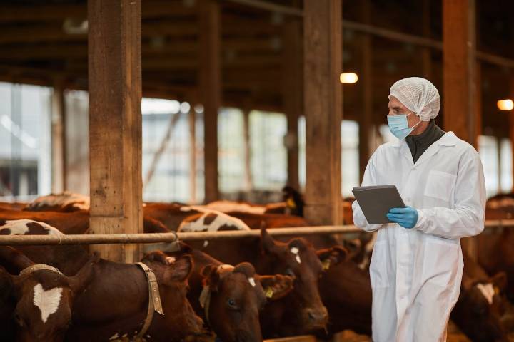 Las primeras grandes epidemias llegaron con el desarrollo de la ganadería, según el análisis de ADN prehistórico