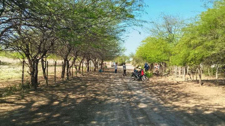 Operativo integral de limpieza en barrios de Colonia El Simbolar