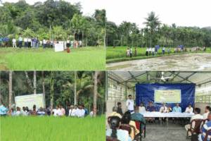 Field Day on “Demonstration of Rice Growth and Yield under Different Transplanting Dates”