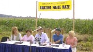 World record making corn maze was hand