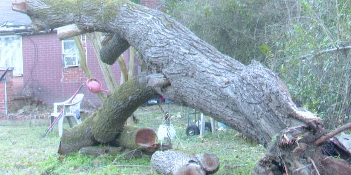 How the CSRA and News 12 will mark 1-year anniversary of Helene