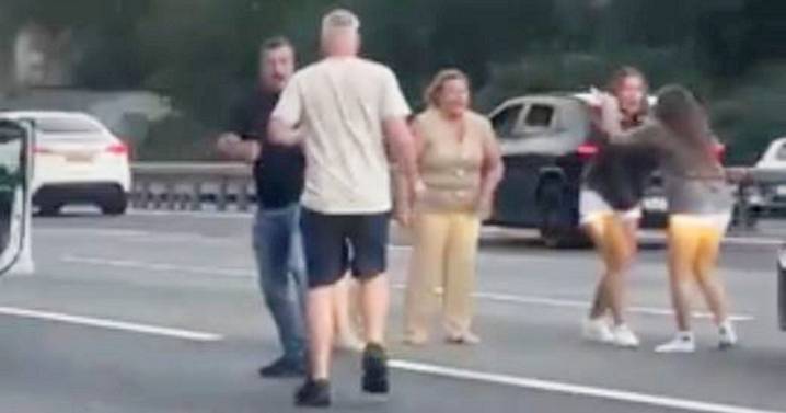 'Road rage brawl' breaks out on motorway as woman drags motorist out of car by hair