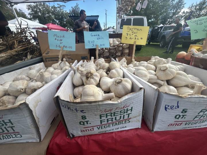 What’s happening in the Mid-Hudson Valley: Sept. 26, 2025