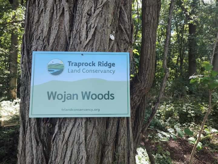 West Hartford to Celebrate Woodland Restoration at Wojan Woods