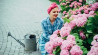Decorate With Hydrangeas On A Budget With A Clever Wreath You Can DIY