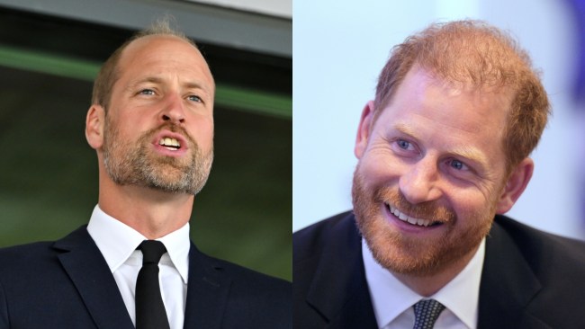 'A short drive': Prince Harry, William mere kilometres from each other but did not meet