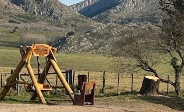 Tornquist: vecinos exigen un plan de arbolado "urgente" para la Comarca Serrana