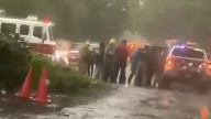 VIDEO: Rayo le cae a 5 campesinos tras resguardarse de la lluvia bajo un árbol