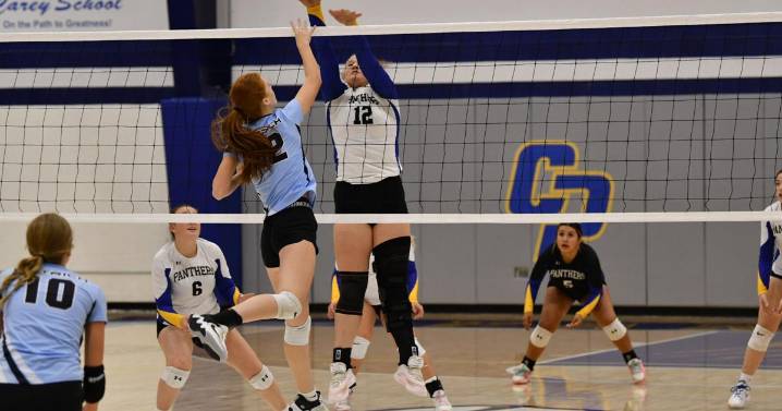 All-around effort lifts Carey volleyball past Dietrich