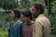 Zafari, las trincheras humanas ante el caos