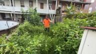 One landscaper in Northumberland County is cutting lawns for free as part of a bigger mission