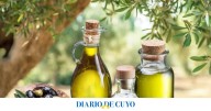 Un aceite de oliva virgen extra de San Juan fue mencionado entre los mejores del mundo en el Concurso Internacional Mario Solinas
