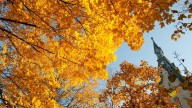 4 Illinois universities named among best in U.S.