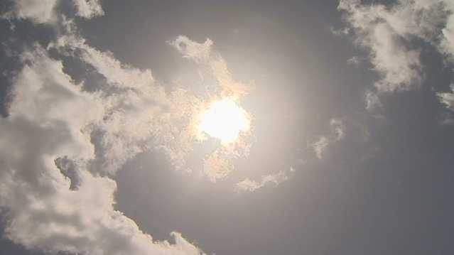 South Carolina: Sunny and cooler