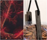 Inauguran las muestras “La forma del gesto” y “Apariciones”