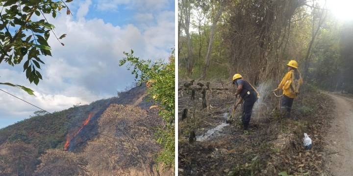 Incendios afectaron ocho municipios del Tolima