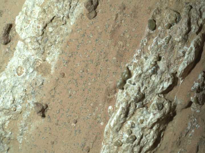 Signs of microbial life detected on Mars: NASA