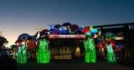Wichita residents invited to recycle electronics for free Wild Lights tickets