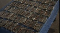 Localizan en operativo más de mil cartuchos útiles de cuerno de chivo en Guadalupe y Calvo