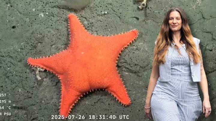 La bióloga del CONICET que brilló y debutó como modelo en la pasarela del BAFWEEK