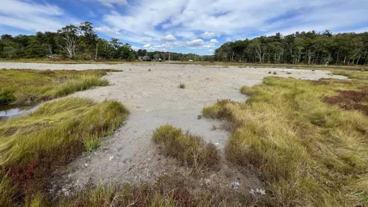 Spreading sand to save a Maine salt marsh