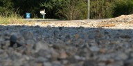 81-year-old’s scalp torn off in ‘vicious’ Bibb County dog attack, lawsuit alleges