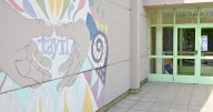 Obligan a una obra social a cubrir el acompañante escolar para una adolescente con discapacidad en Neuquén
