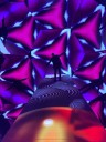Bubble Planet at Exhibition Hub encourages bursts of joy