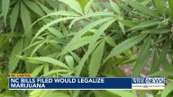 With baggie in hand, lawyer sells case of hemp v. marijuana to NC Supreme Court