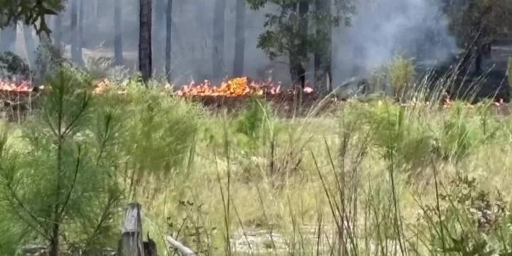 Fire crews cleared after battling woods fire in Kershaw County
