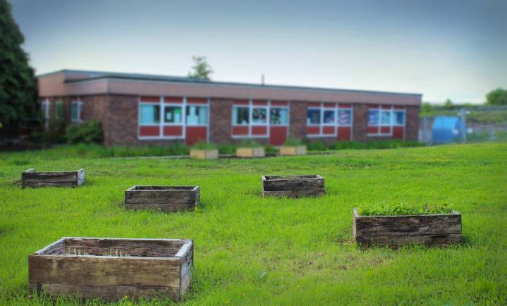 Teachers’ pay award risks 'reduced financial stability' in schools | Local News 