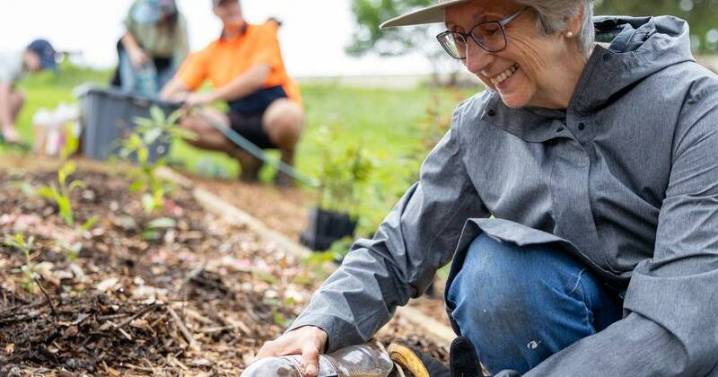 Tiny forests breathe life and hope into urban Australia