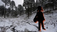 CLIMA La Niña traerá invierno 2025 más frío, con hielo ártico y nevadas a México