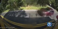 More than 250 drivers caught illegally passing school buses in Shelton