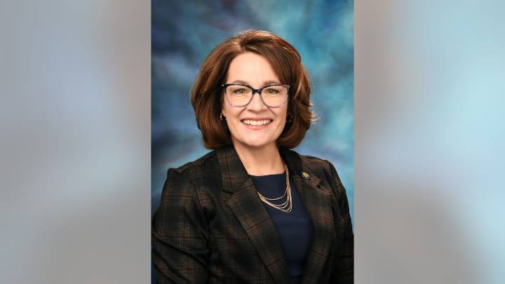 Shot fired at Illinois state senator's home, suspect in custody