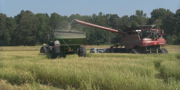 Edmonson County among those approved for County Agricultural Incentives Program