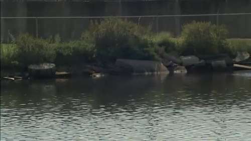 Labor Day visitors and rain may be to blame for sewage leaking into the water, Galveston leaders say
