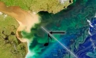 VIDEO. La NASA creó una melodía con una imagen satelital del Río de la Plata: ¡escuchala!