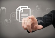 Lo que todo servidor público debe saber sobre participación en política