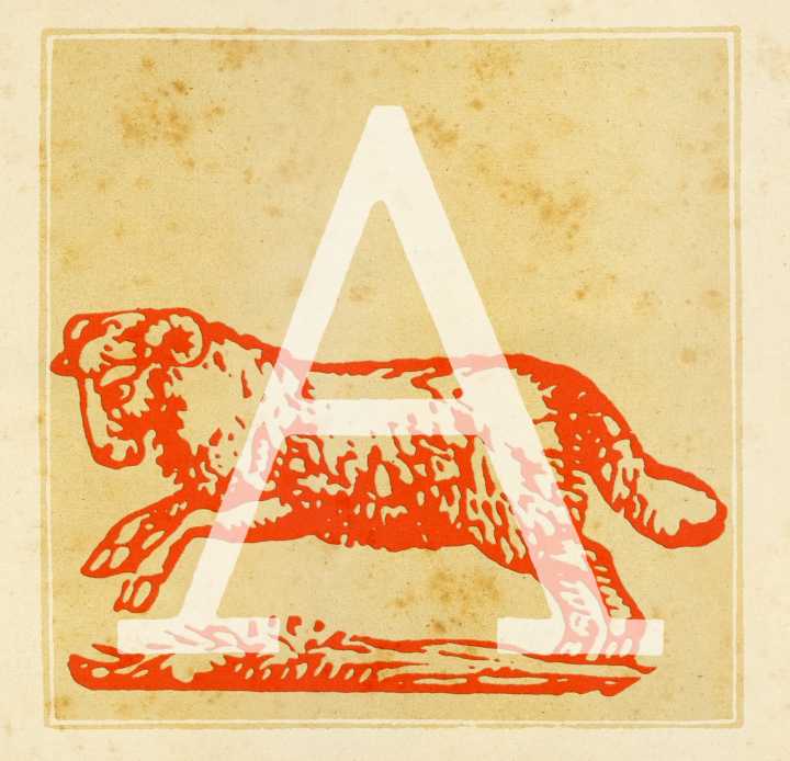 Let your creativity soar, Arieses: Today’s daily horoscope for Sept. 20, 2025