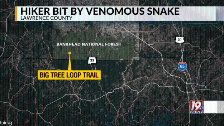 'I didn't think I'd ever leave that spot': Hiker shares survival story after being bit by snake