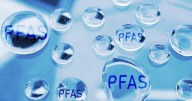 You can be exposed to PFAS through food, water, even swimming in lakes – new maps show how risk from 'forever chemicals' varies