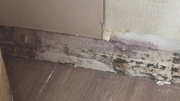 Judge rules lawsuit against Ohio State involving Lawrence Tower mold issue can proceed