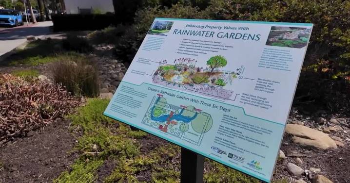 City of Santa Barbara will pay residents up to $5 a square foot to replace lawns