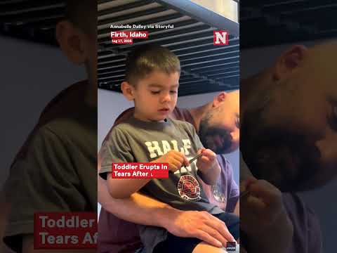 Toddler Erupts in Tears After Learning Donald Trump Is Real