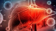 Científicos del CONICET descubrieron que el bloqueo de una proteína reduce la hepatitis fulminante