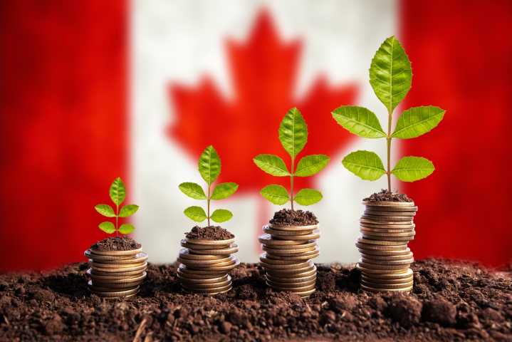 New ETF Types Offer Opportunity And Potential Risk For Canadian Investors