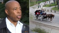 Mayor Eric Adams calls for ban on horse carriages in NYC, Central Park and orders stronger oversight