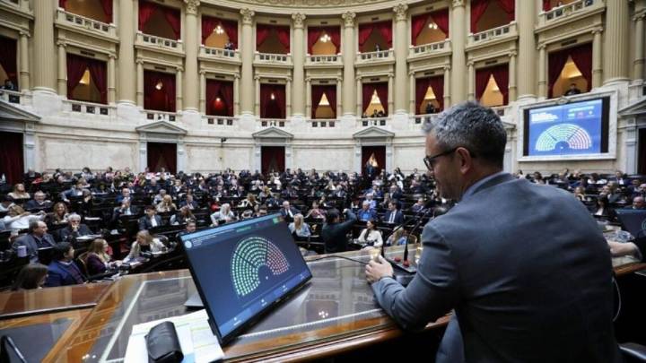Garrahan y universidades: la oposición busca voltear los vetos de Milei